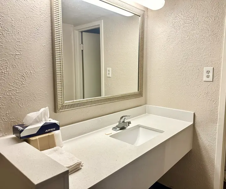 Bathroom sink and mirror