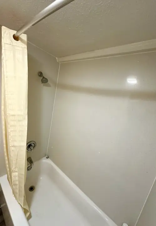 Bathtub with a shower curtain