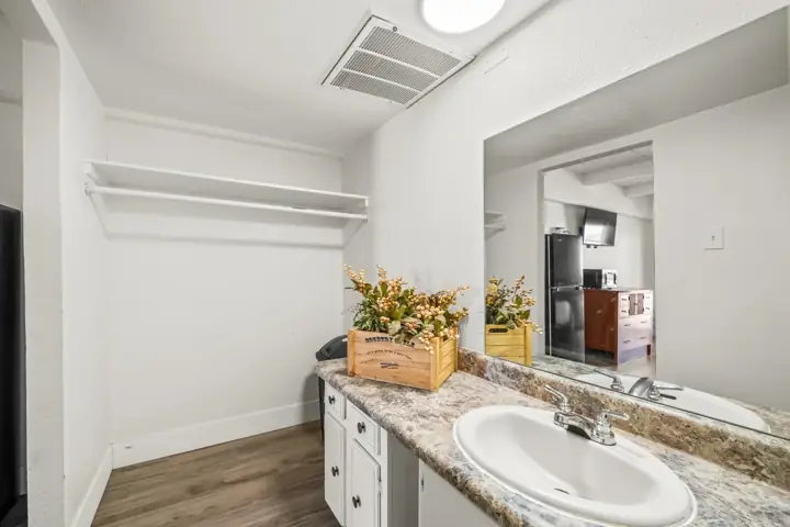 Empty bathroom vanity with a sink, a large mirror, a potted plant in a wooden box, and an open shelving area above. The