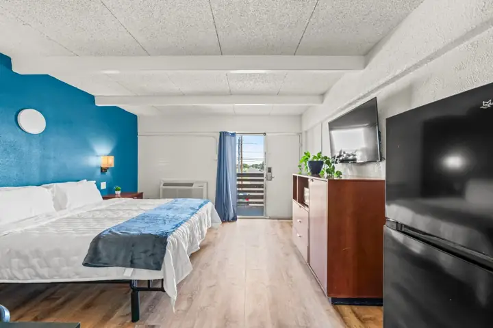 Interior of a motel room with a bed, nightstand, wall-mounted light, TV, dresser, refrigerator, plant, and a door leading
