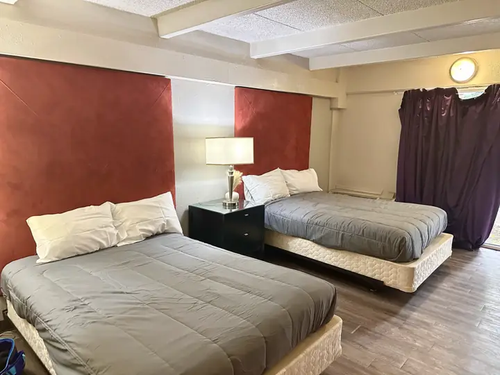 Two beds with gray bedding and a lamp between them