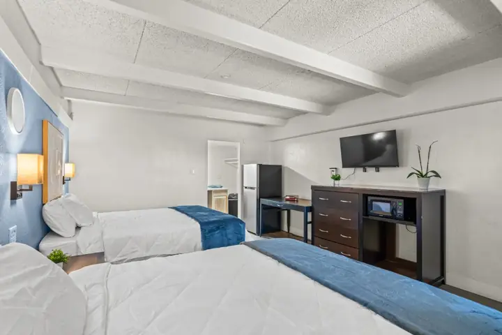 Two beds with white bedding and blue blankets in a hotel room with a blue accent wall, a nightstand with a small plant